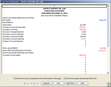 Financial Statement Generator Screenshot