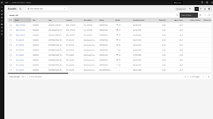 IBM Maximo: Asset Lists