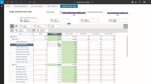 IBM Planning Analytics: IBM Planning Analytics Growth Input