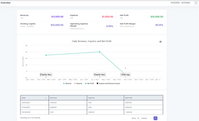 Industry Software: Overview of Revenue and Expenses