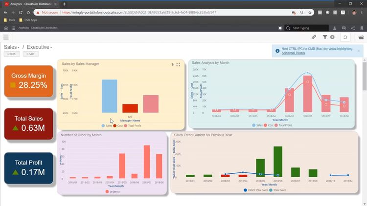 Infor CloudSuite Distribution Sales Dashboard