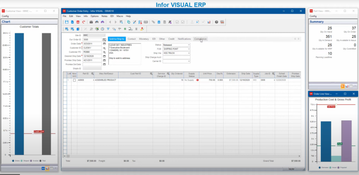 Infor VISUAL ERP: Customer Order Entry 