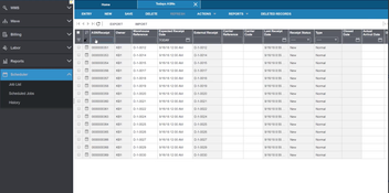 Infor WMS: Scheduler