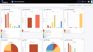 Intellect QMS: Executive Dashboard