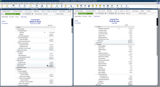 QuickBooks Premier: Reports: Balance Sheet, Profit and Loss