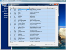 LedgerLite: Maintain Accounts