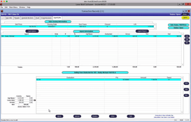 Lone Wolf Back Office: Transaction Records