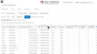 Maestro ERP: User Remedations Page