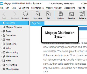 Magaya Distribution System Screenshot