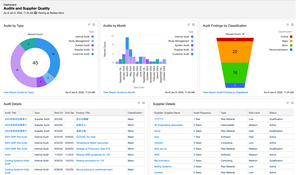 Matrix Quality: Audits and Supplier Quality