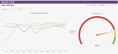 Eyelit MES-M: Labor Utilization