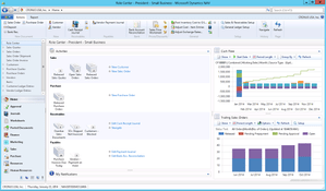 Dynamics NAV: Dashboard