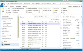 Dynamics NAV: Items