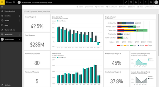 Microsoft Power BI: Customer Profitability Dashboard