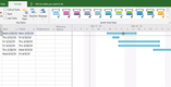 Microsoft Project: Gantt Chart