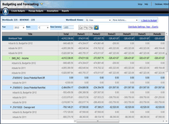 MRI Commercial Suite: Budgeting and Forecasting