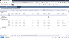 NetSuite: Unrealized Exchange Rate Gains and Losses