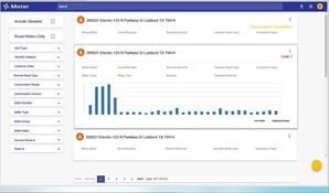 Utilities Pro: Tyler Technologies Smart Meters Access