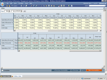 Oracle Hyperion Planning Screenshot