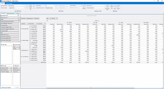 Palladium Accounting: Customer Invoices Page