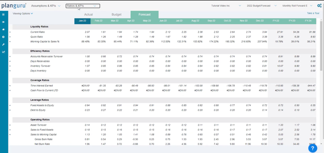 PlanGuru: Ratios and KPIs