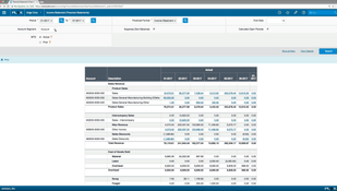 Plex ERP: Financial Statement