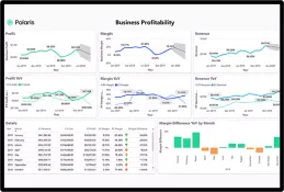 Polaris PSA by Replicon: Profitability