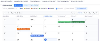 Prisma ERP: Project Schedule