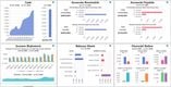 PROCAS: PROCAS Accounting Dashboard