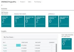 ProjectPro: Timesheets