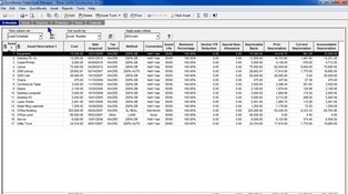 ProSeries Fixed Asset Manager: Schedule