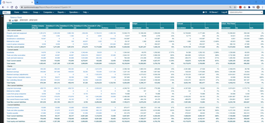 Quick Consols: Balance Sheet (online)