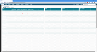 Quick Consols: Income Statement (online)