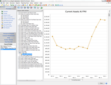 CenterPoint Accounting Software for Agriculture: Asset Ratio Report