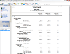 CenterPoint Accounting Software for Agriculture: Balance Sheet