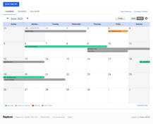 Deltek Replicon: Calendar