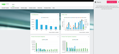 Sage 300: Income, Expense, Activity Charts