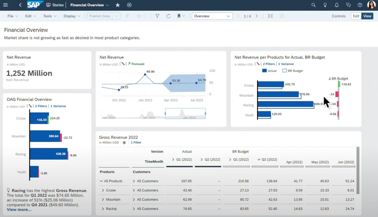 Financial Overview in SAP Business Analytics