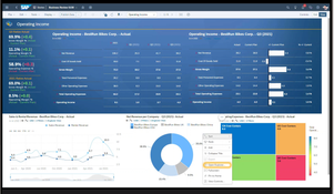 SAP Analytics Cloud: Operating Income