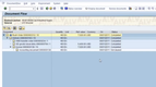 SAP Business All-in-One: Document Flow