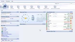 SAP Business All-in-One: Homepage