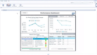 SAP Business All-in-One: Performance Dashboard