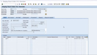 SAP Business All-in-One: Rush Order