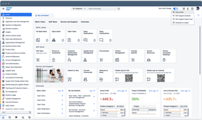 SAP Business ByDesign: Dashboard