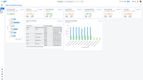 SAP Business ByDesign: SAP Business ByDesign Financial Dashboard