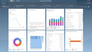 SAP Business One: Sales Analysis