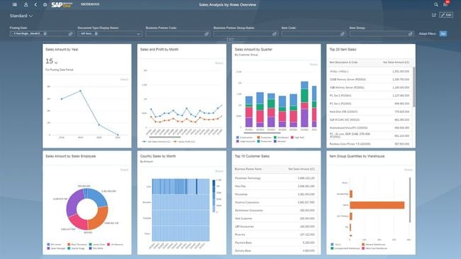 SAP Business One: Sales Analysis