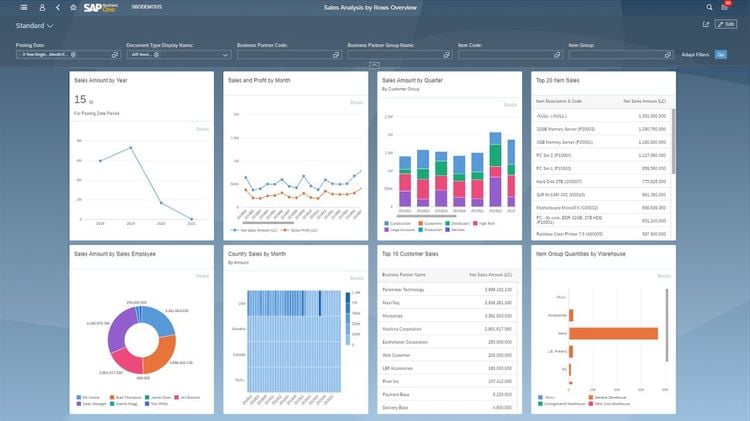 SAP Business One Sales Analysis