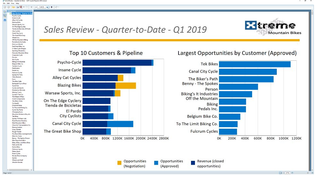 SAP Crystal Reports: Sales Review