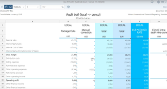 SAP Financial Consolidation: Audit Trail